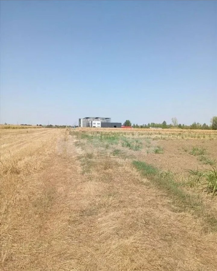 Dobanovci gradjevinsko zemljiste 103 ara 5