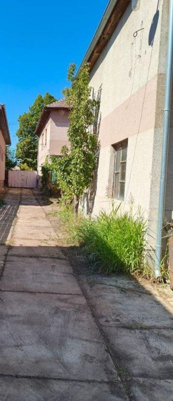 Porodična kuca sa velikim placem u Novosadskoj ulici Temerin 2