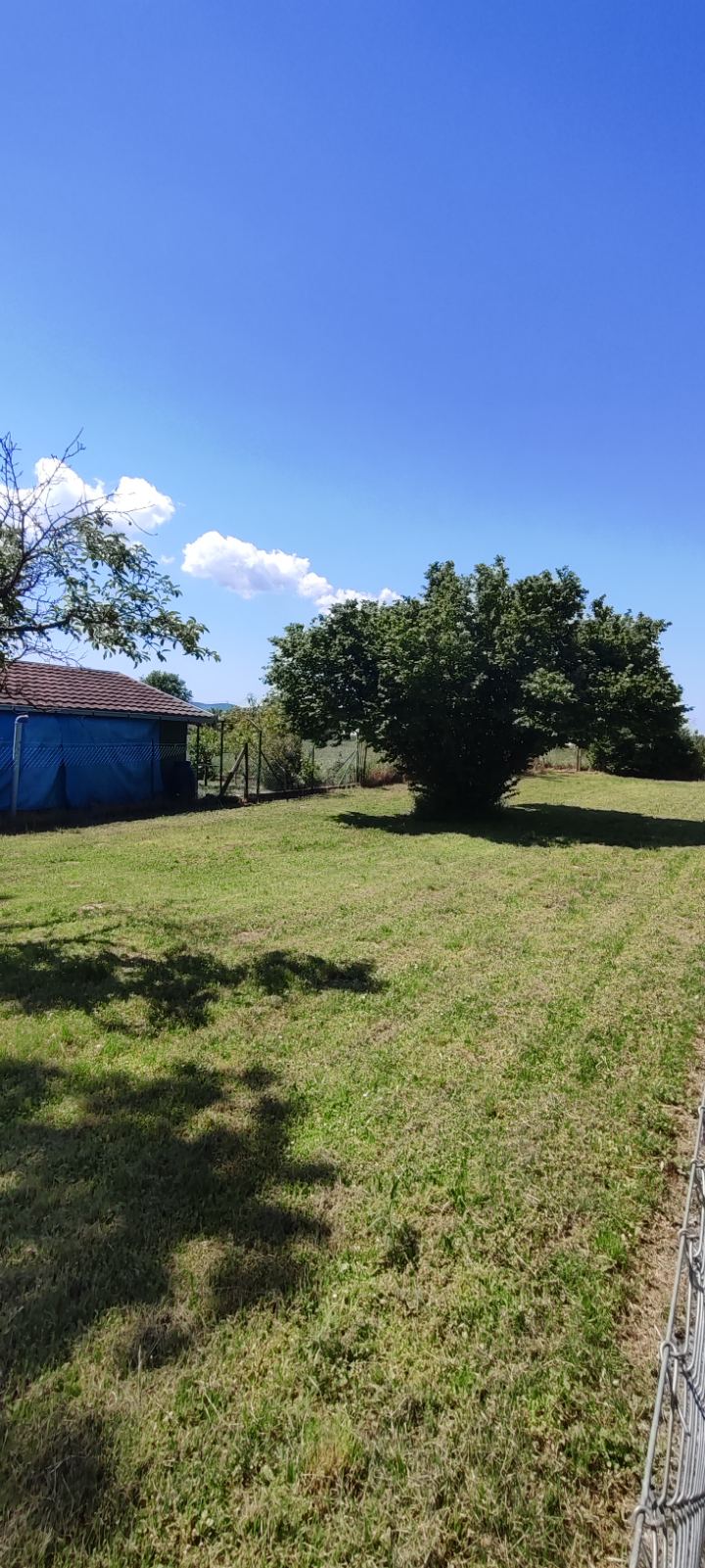 Prodajem plac Novi Sad Veternik 5