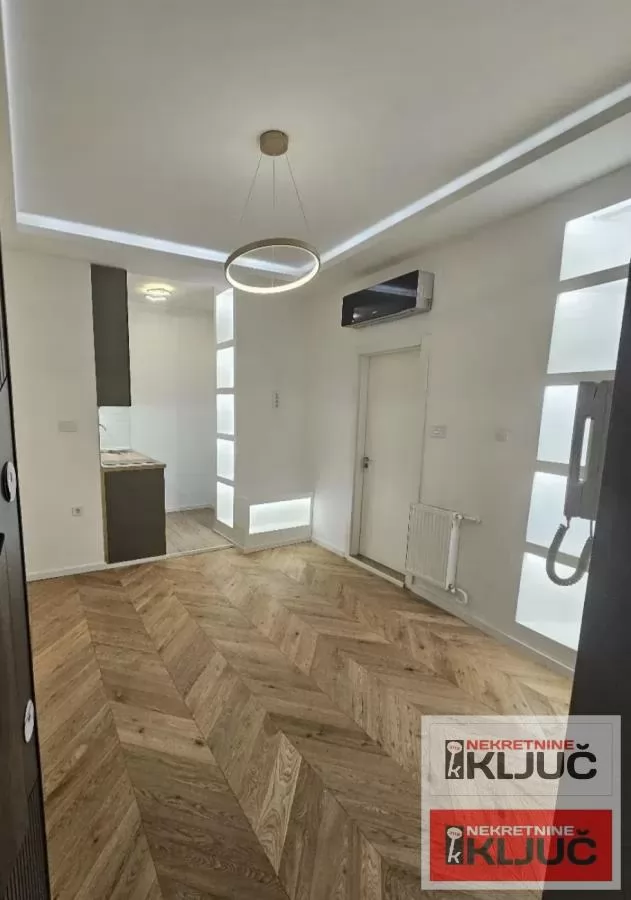 CENTAR, 21m2, Jednosoban, SALONAC kod Izvršnog veća, Renoviran 1