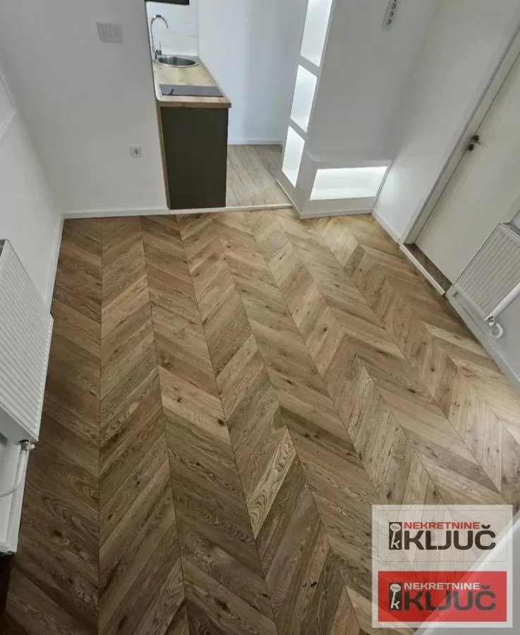 CENTAR, 21m2, Jednosoban, SALONAC kod Izvršnog veća, Renoviran 3
