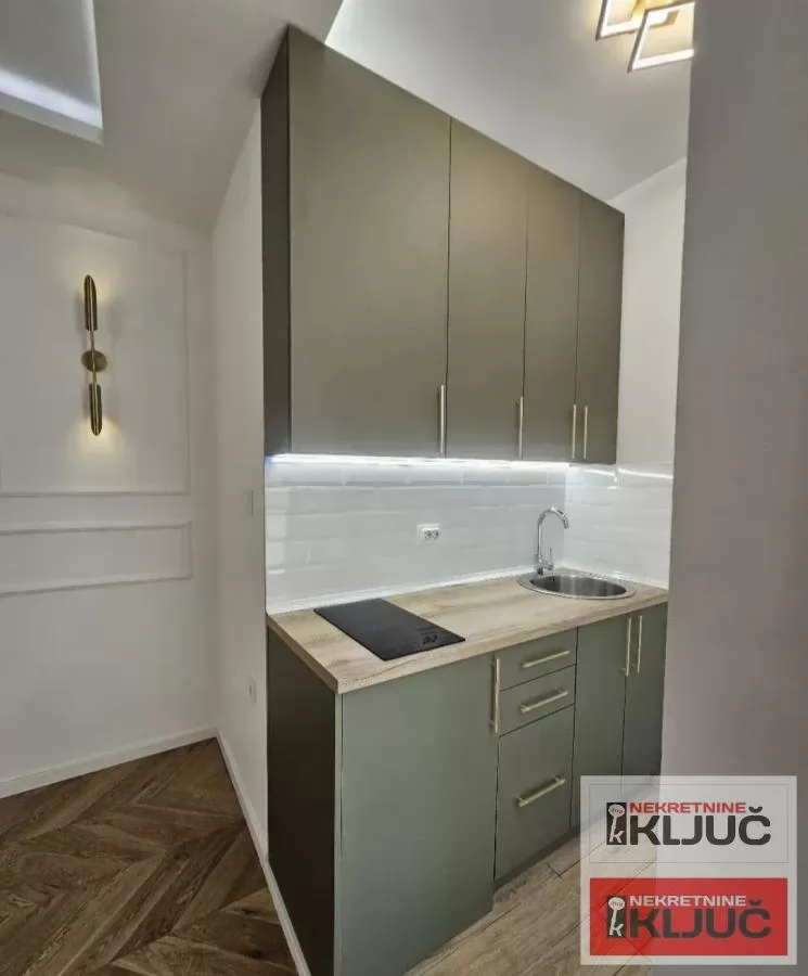 CENTAR, 21m2, Jednosoban, SALONAC kod Izvršnog veća, Renoviran 6