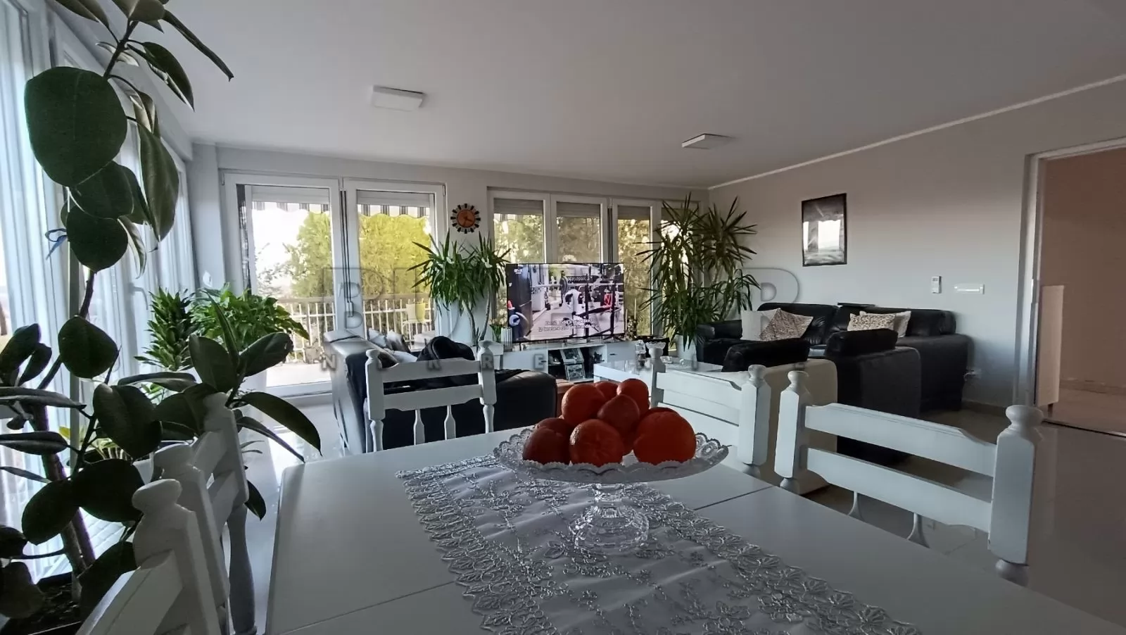 četvorosobna kuća, 150 m2, Belanovce, Belanovce ID: p-015927 8