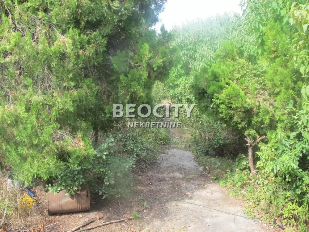 Plac, Palilula ID: 121637 2