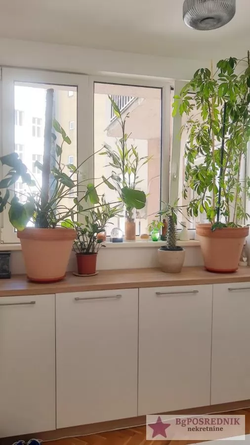 Savski venac, Zeleni venac, Pop Lukina, 47m2+3m2T 8