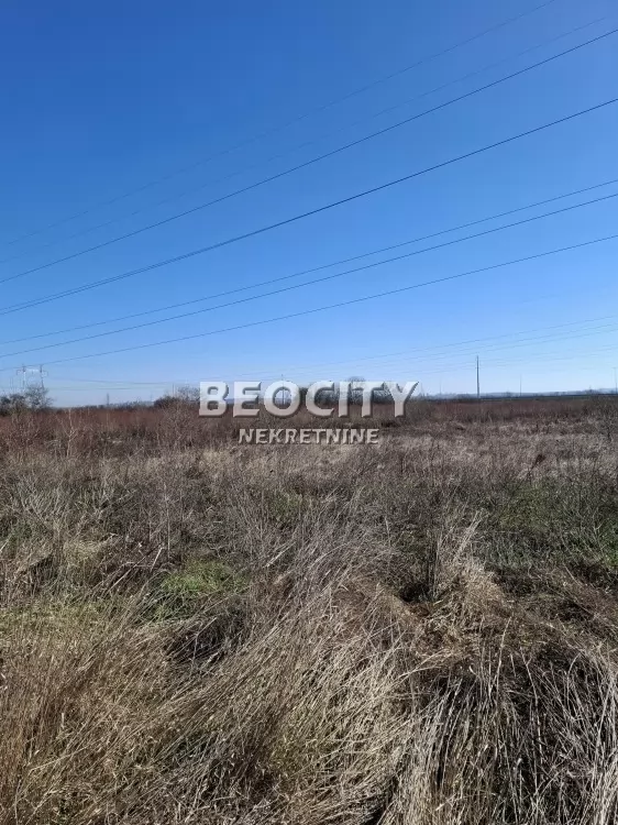 Plac, Surčin, Vinogradska ID: 129039 2