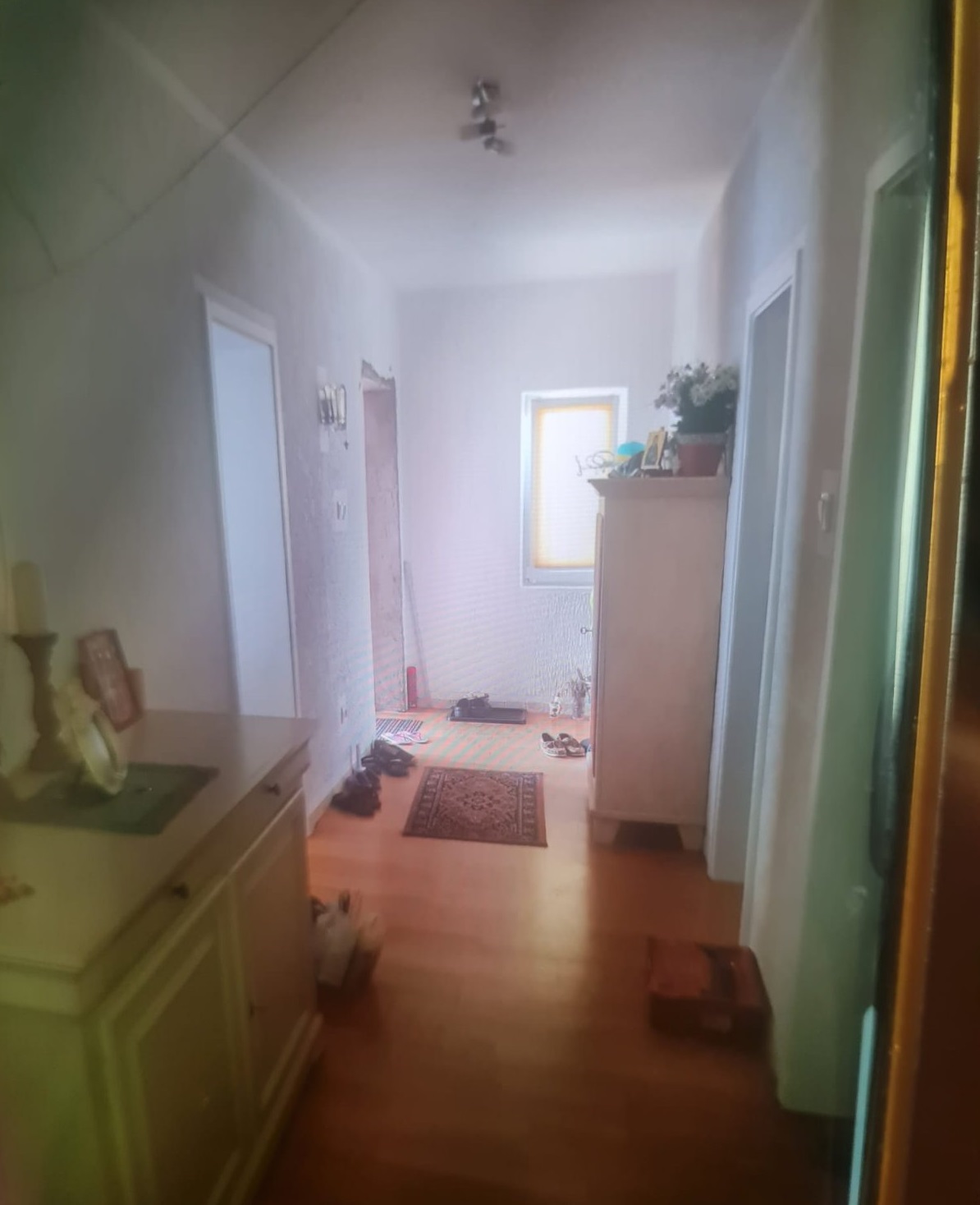 Prodajem kucu u Ramu na Dunavu 5