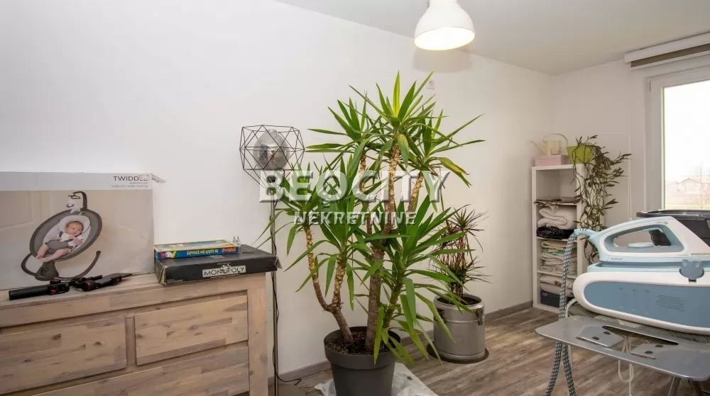 Kuća, 225 m2, Palilula, Popova bara nova 2. ID: 129672 11