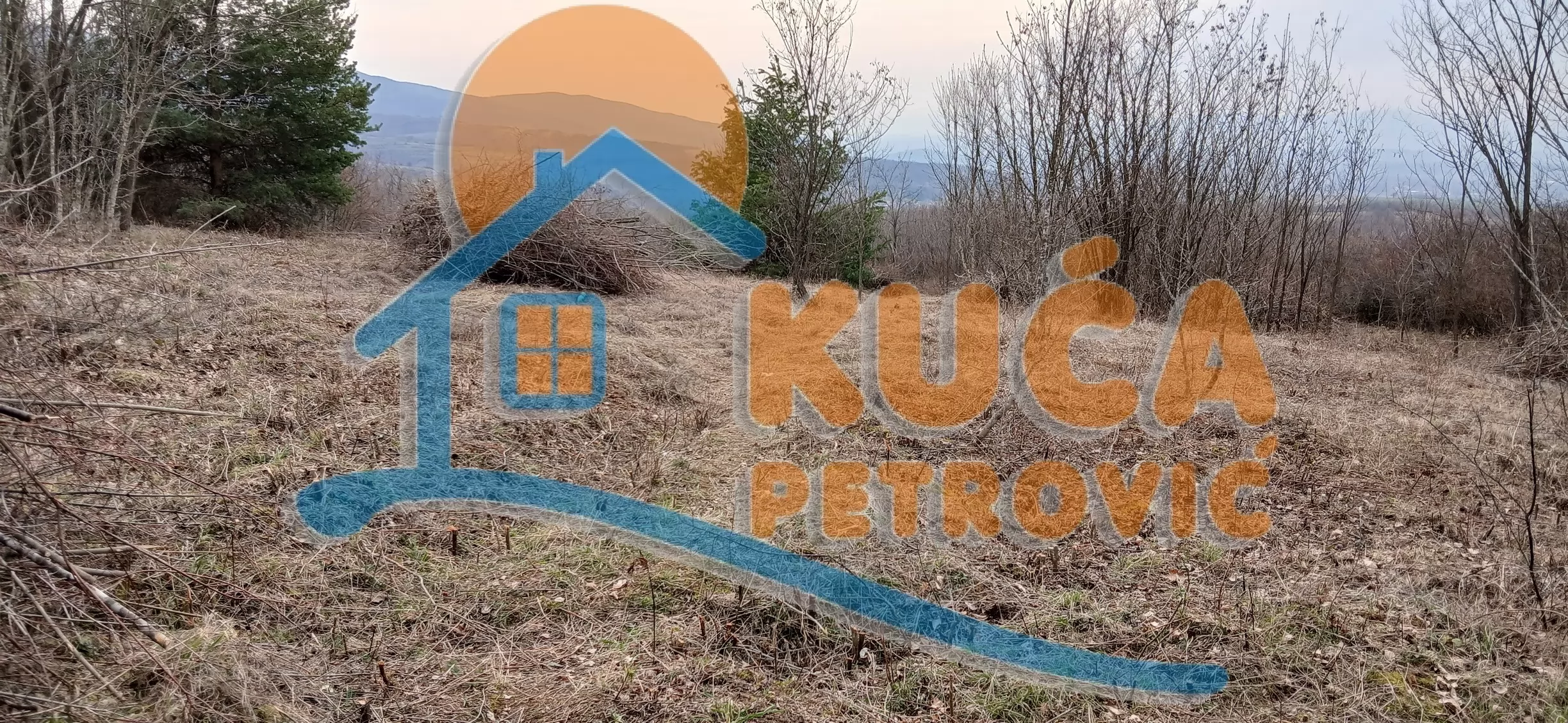Plac, Palilula, Donje Vlase ID: p-011960 1