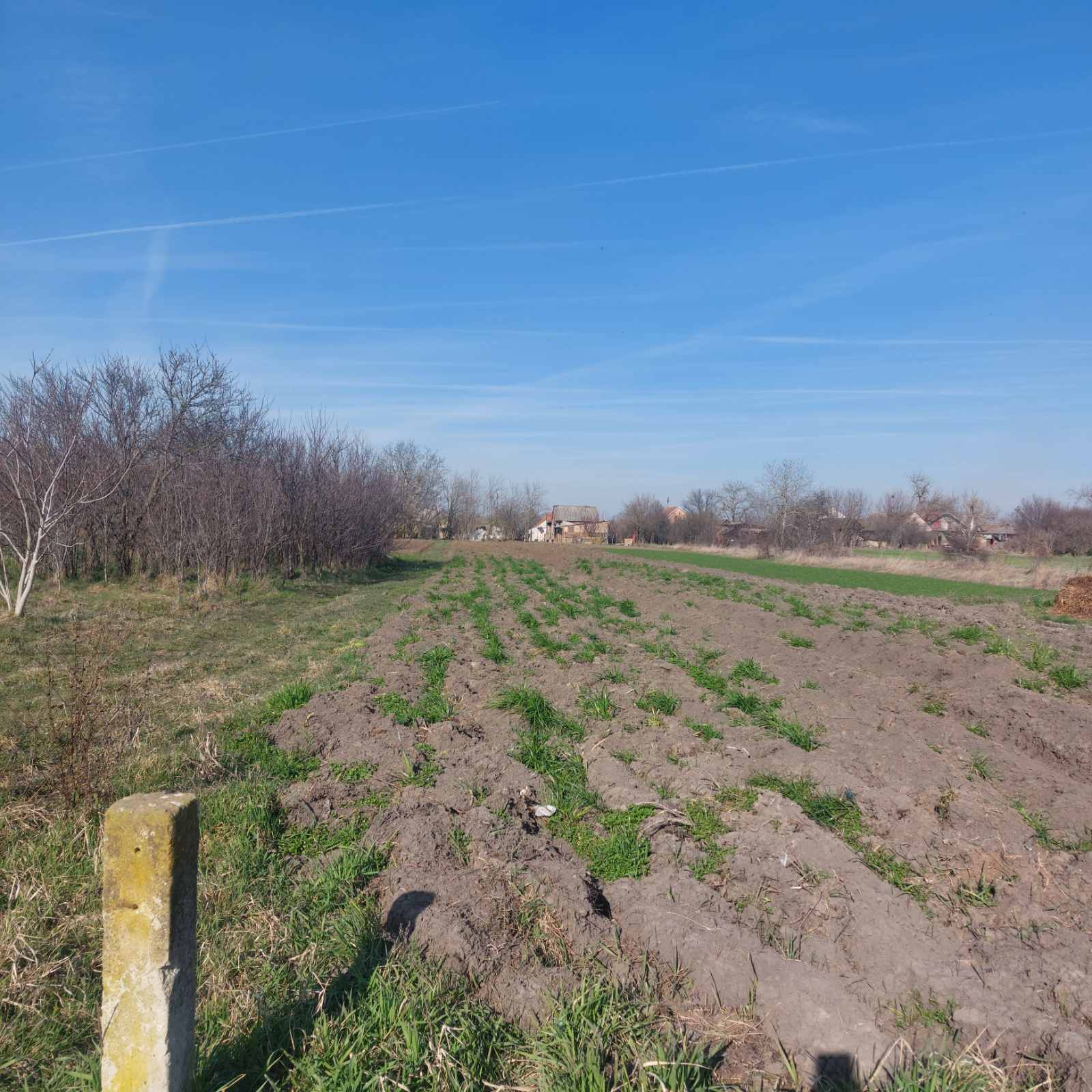 Karlovčić   Plac 19 ari sa Uknjiženim Objektom   Građevinsko Zemljište   Vlasništvo 1 1 1