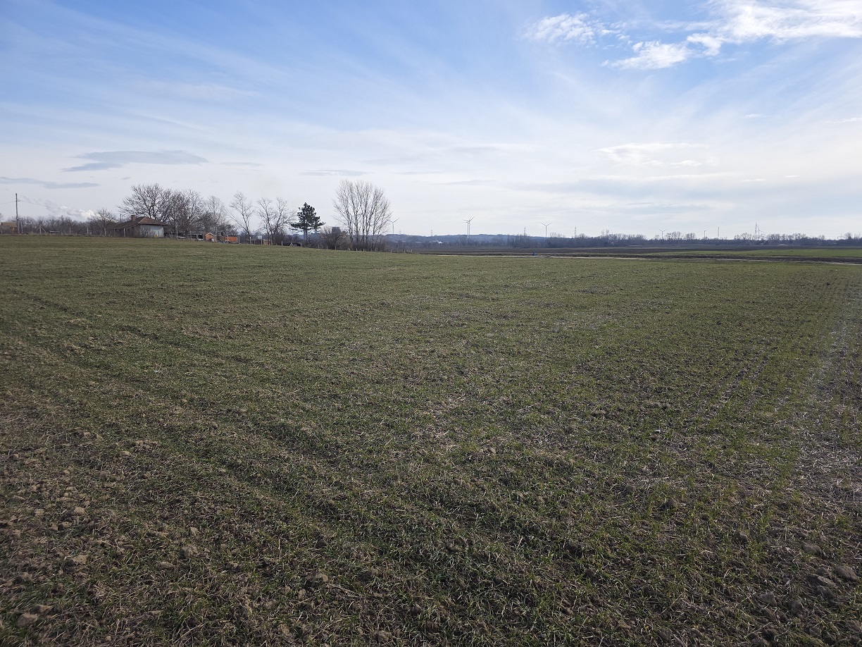 Zemljište na prodaju zakup   Plac na Dunavu idealan za vikendice i pecanje 4