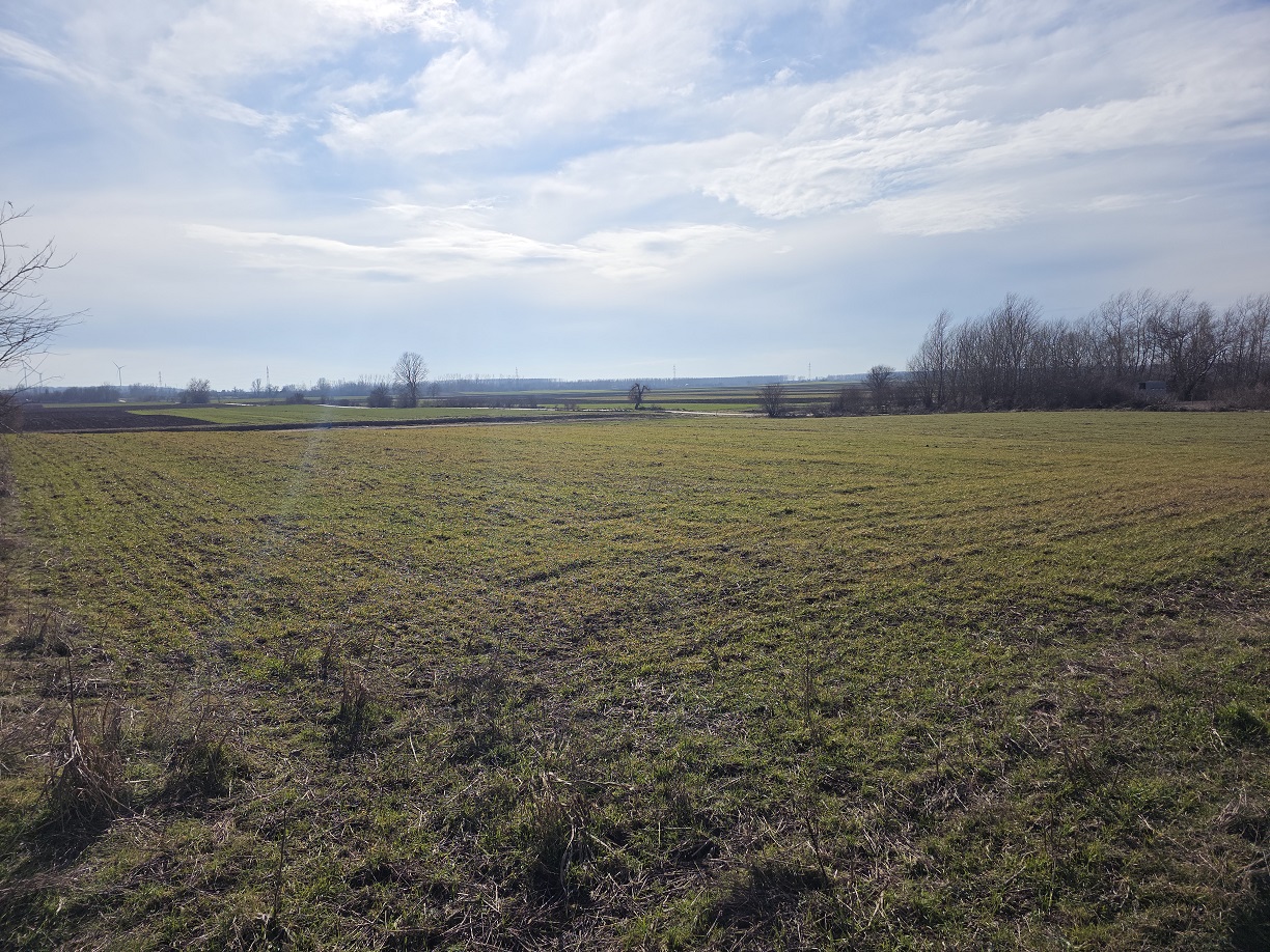 Zemljište na prodaju zakup   Plac na Dunavu idealan za vikendice i pecanje 5