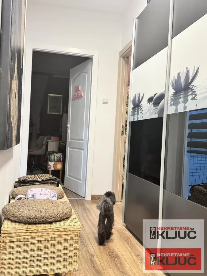 NOVA DETELINARA, 47m2, Dvosoban, Polunamešten, Parking za stanare 19