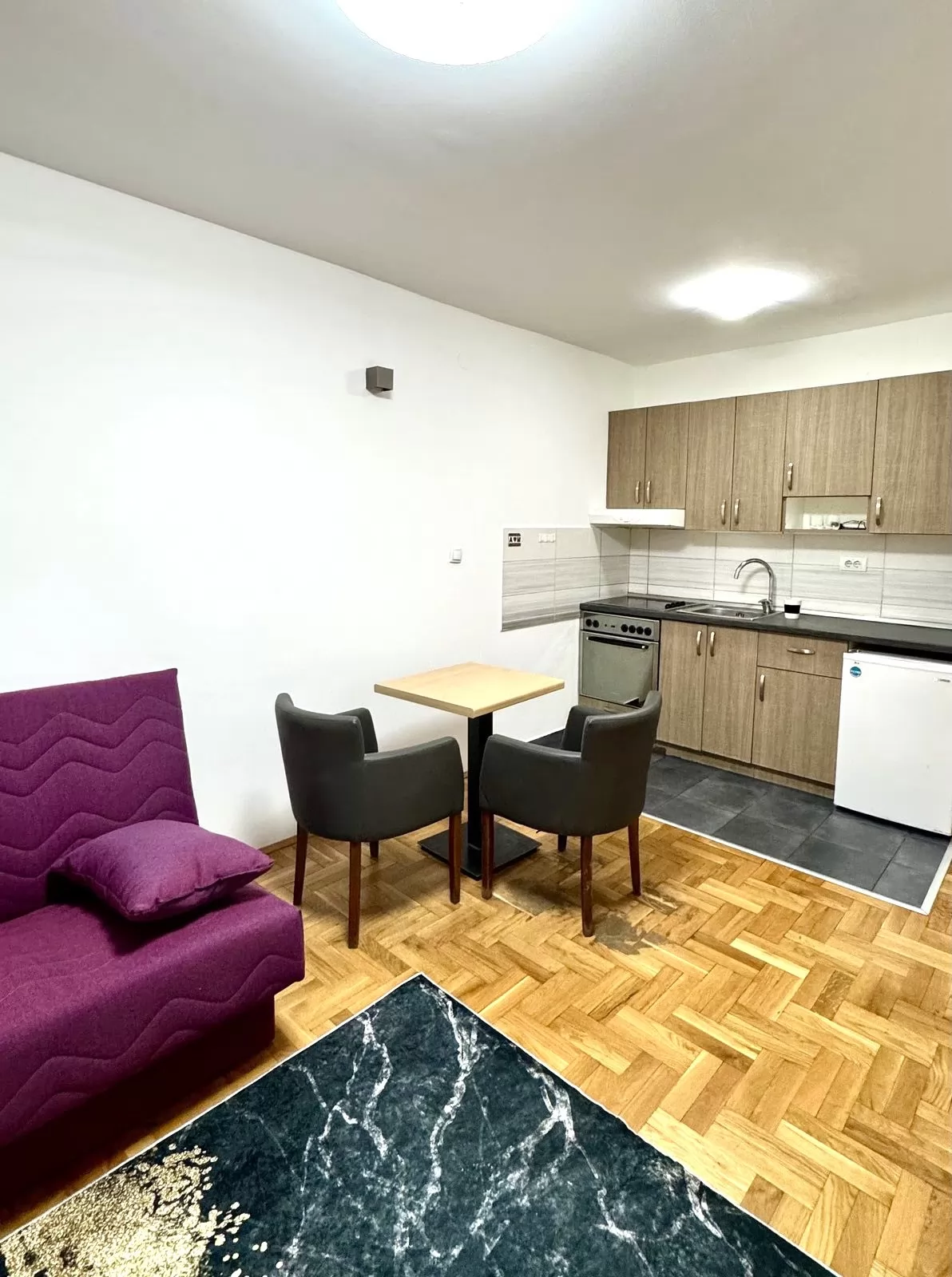 Stan,NOVI SAD,CENTAR,kv: 25, € 300, ID: 9101513 3