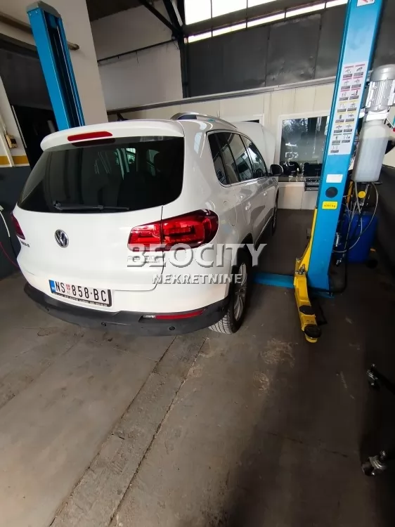 Lokal, 150 m2, Sajlovo ID: 130280 1