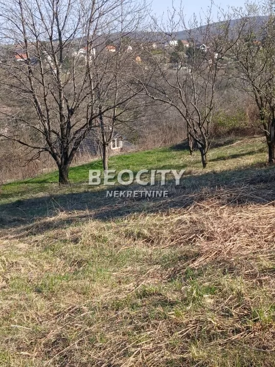Plac, Popovica, Artiljevo ID: 127080 4