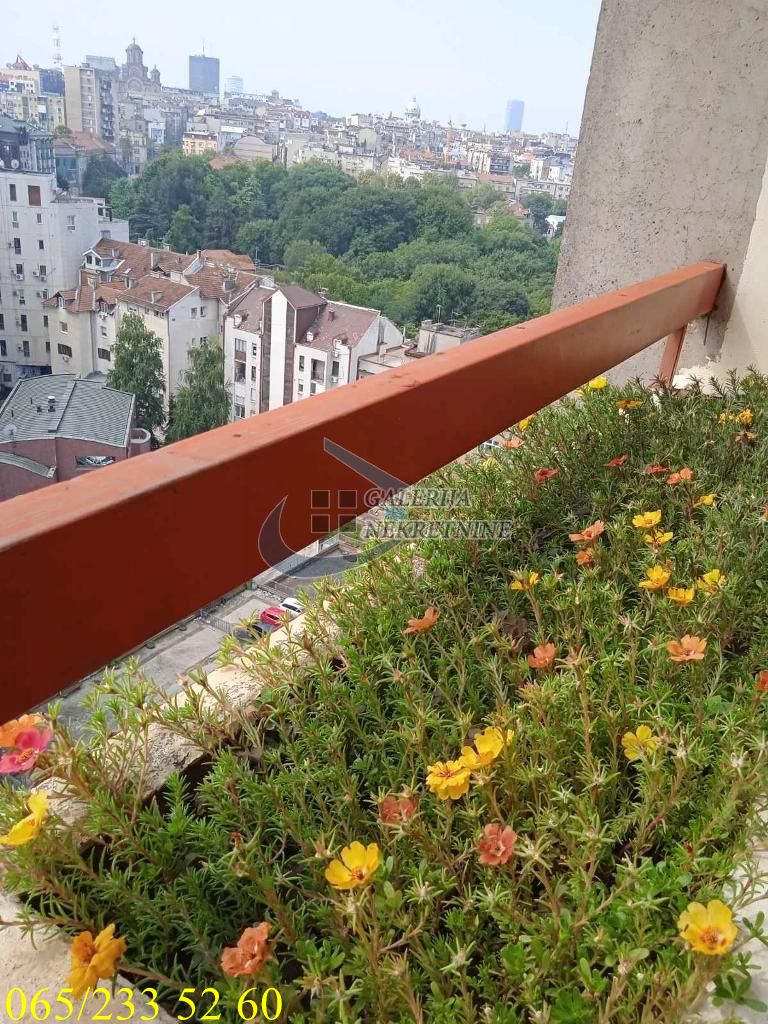 Palilula  Botanička bašta   Bulevar despota Stefana 87m2 5