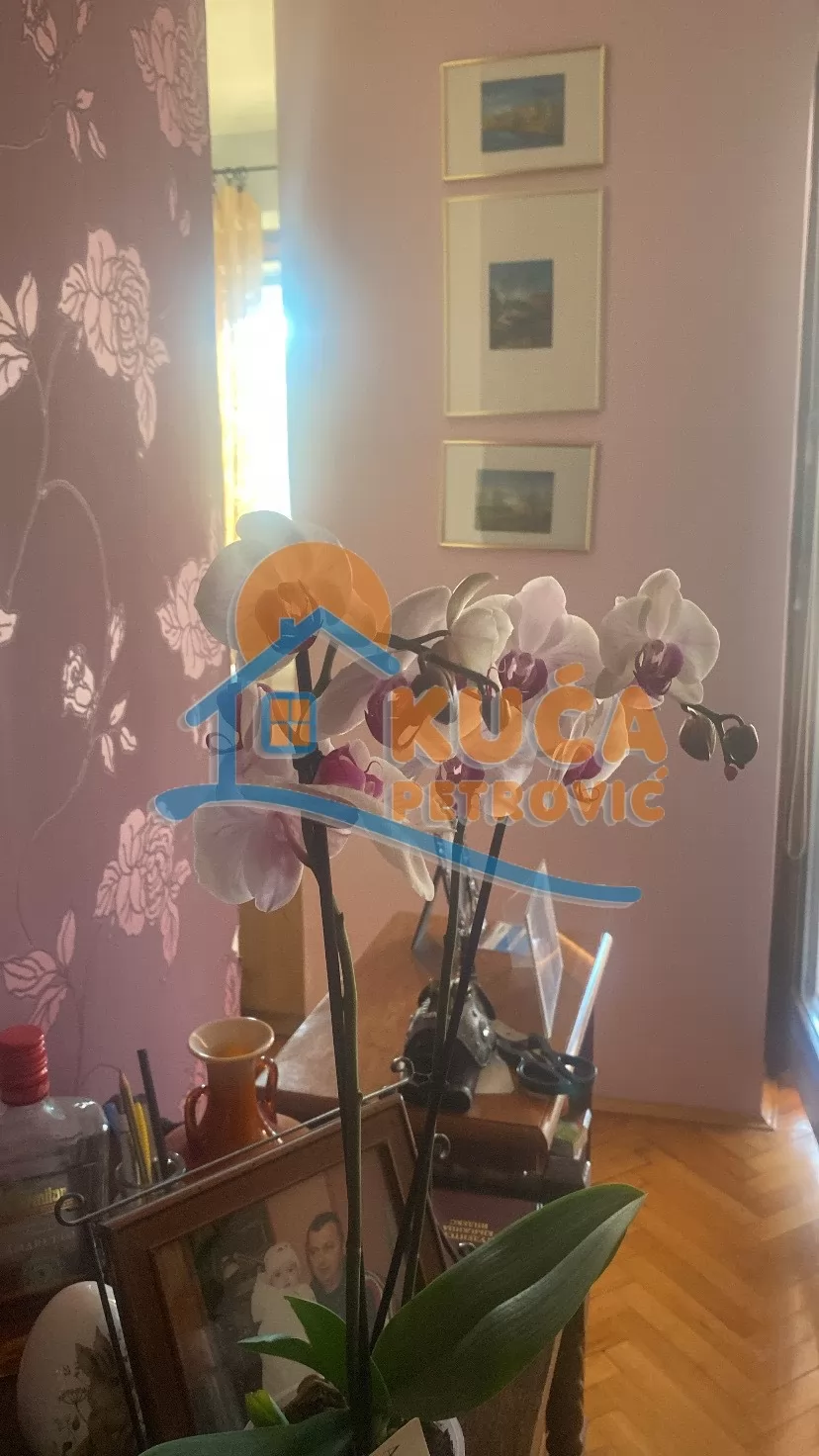 Dvosoban stan, 66 m2, Tehnički fakulteti, Bulevar Nikole Tesle ID: i-016024 8