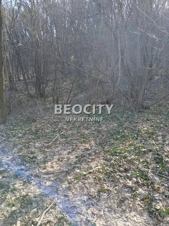 Plac, Popovica, Artiljevo ID: 127084 1