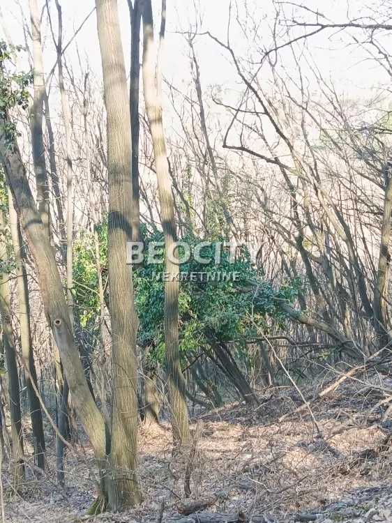 Plac, Popovica, Artiljevo ID: 127084 2