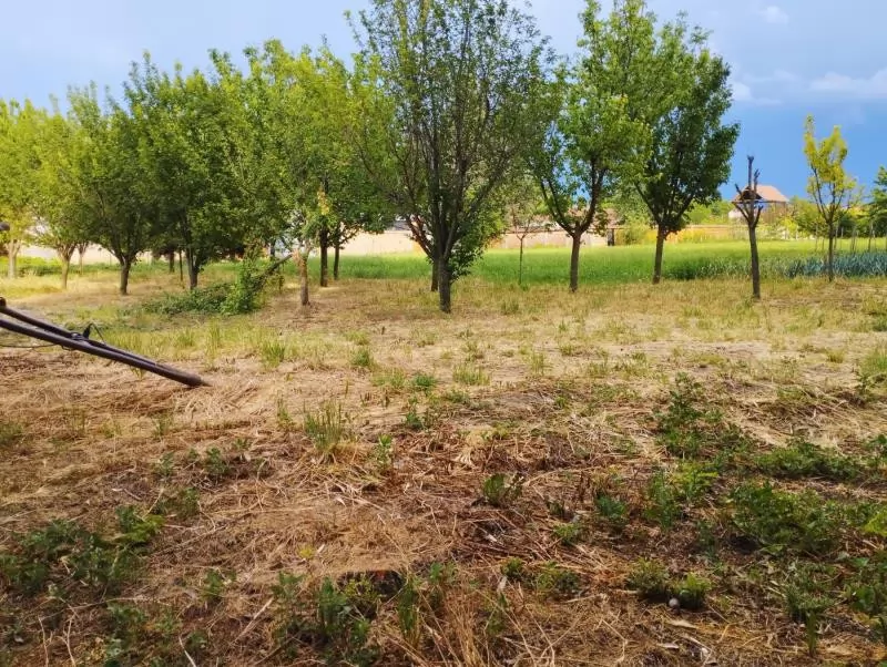 Kuca,STEPANOVIĆEVO,CENTAR,kv: 1396, € 45000, ID: 3002150 21