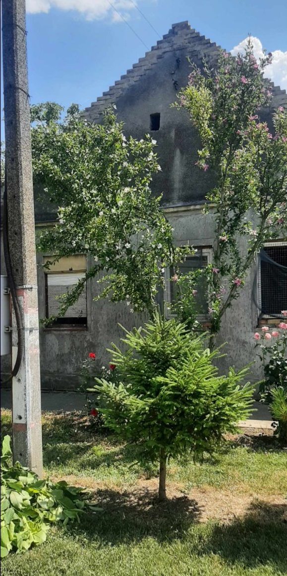 Prodajem kucu u Debeljaci Kovacica 4