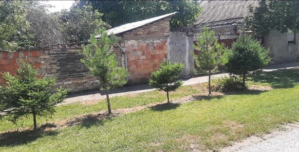 Prodajem kucu u Debeljaci Kovacica 5