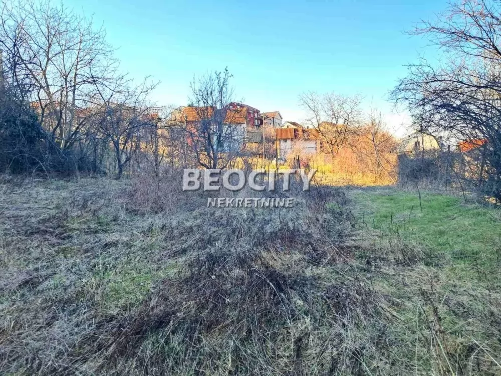 Plac, Palilula, Drvarske česme ID: 130390 2