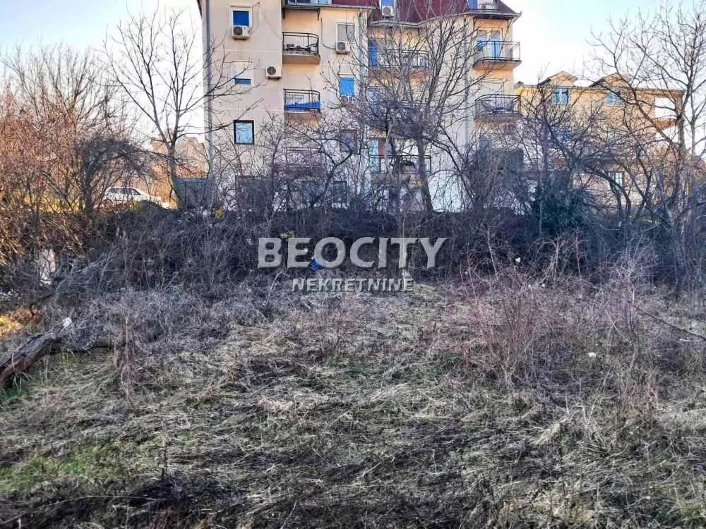 Plac, Palilula, Drvarske česme ID: 130390 4