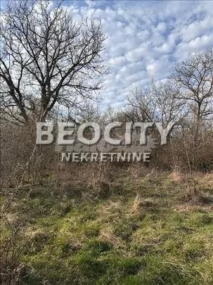 Plac, Barajevo, Nikole Mihajlović ID: 130531 1