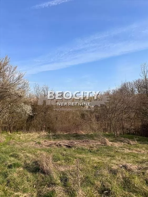 Plac, Barajevo, Nikole Mihajlović ID: 130531 3