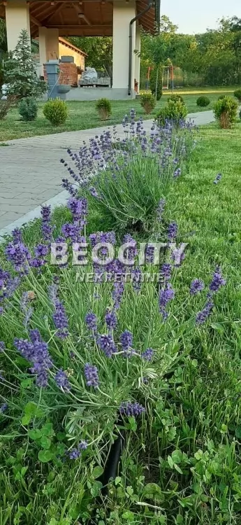 Petosobna kuća, 300 m2, Sopot ID: 130745 3