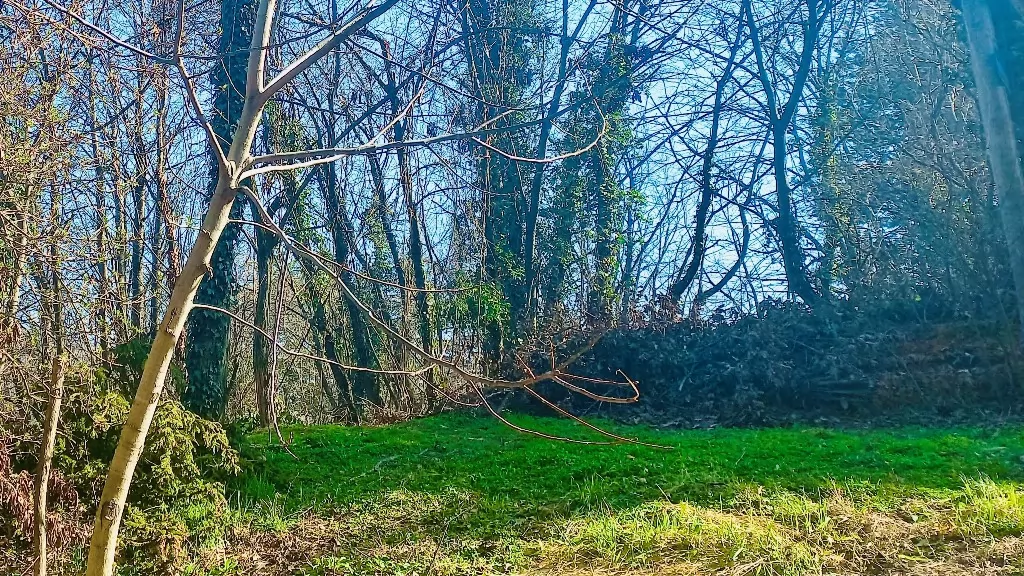 Plac,SREMSKA KAMENICA,POPOVICA,kv: 2951.00, € 390000, ID: 7090011 1