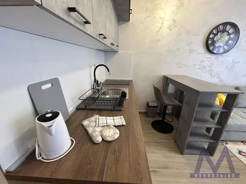 Stan,NOVI SAD,CENTAR,kv: 24, € 103000, ID: 1019309 5