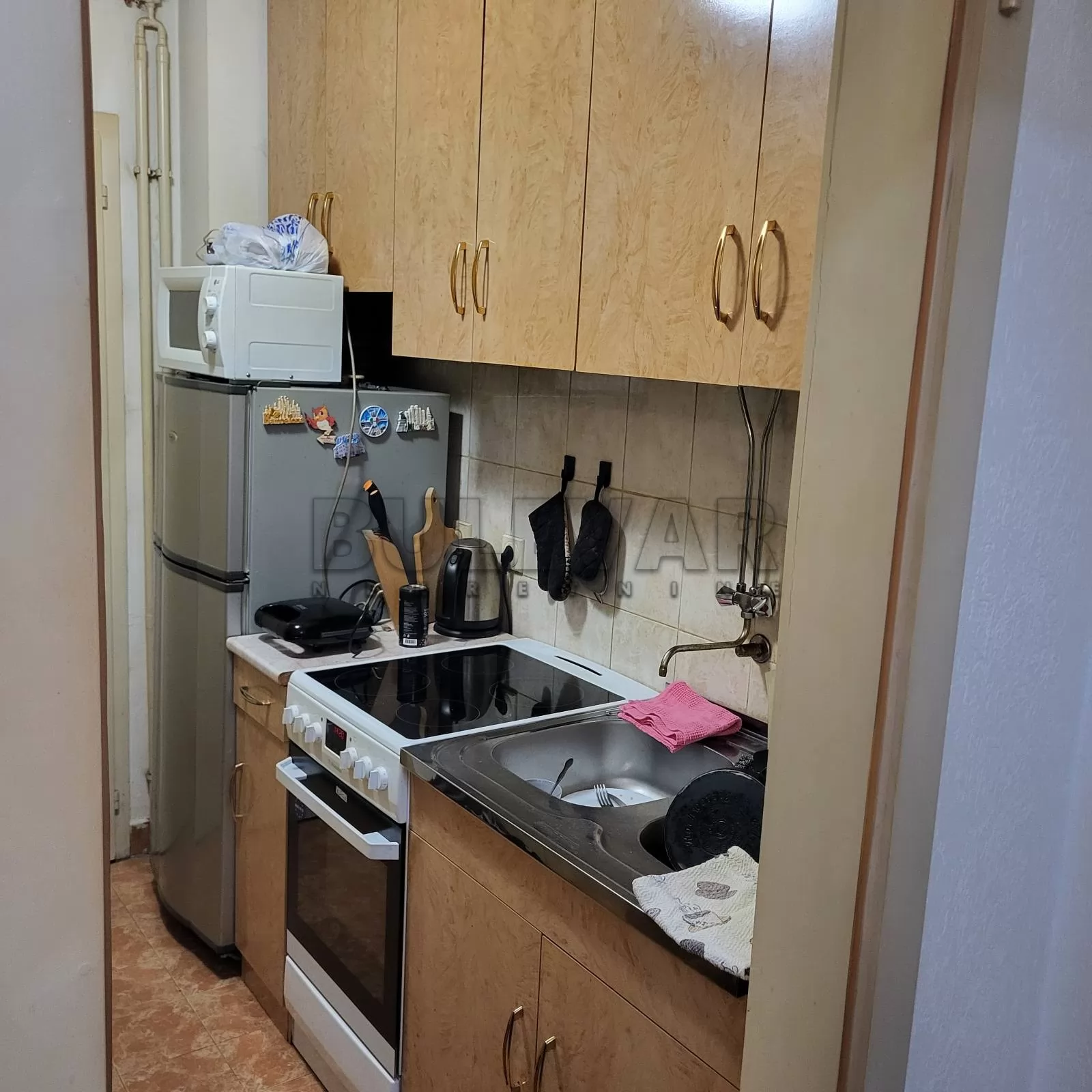 Jednosoban stan, 18 m2, Spasenije Cane Babović ID: p-016110 3