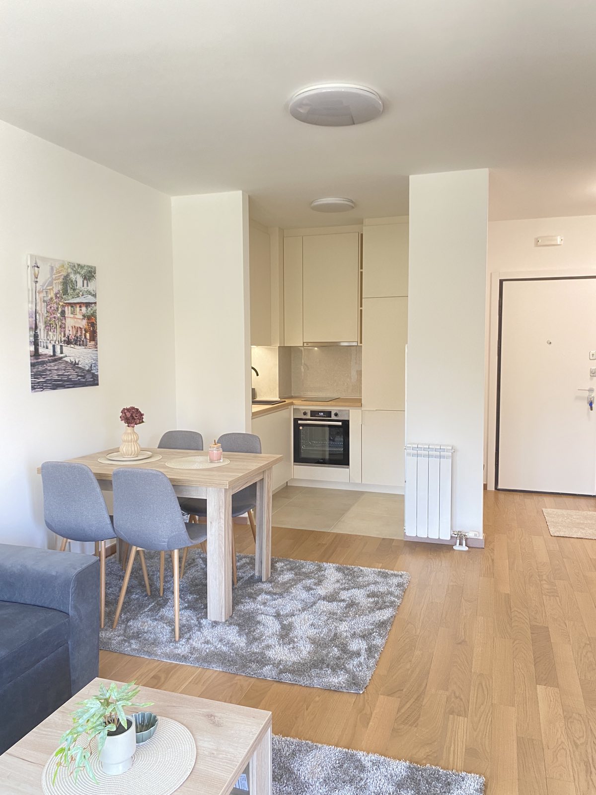 Izdaje se stan 47 m2 lux Victoria Avenija Čačak 4