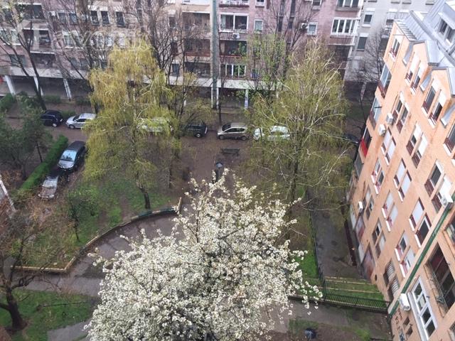 CRVENI KRST, VOJISLAVA ILICA, 46m2 1