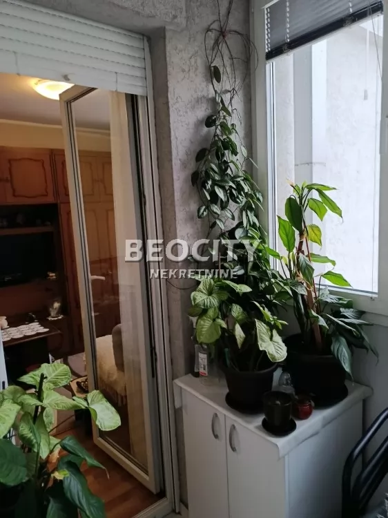 Dvosoban stan, 45 m2, Telep, Bulevar Patrijarha Pavla ID: 130913 8