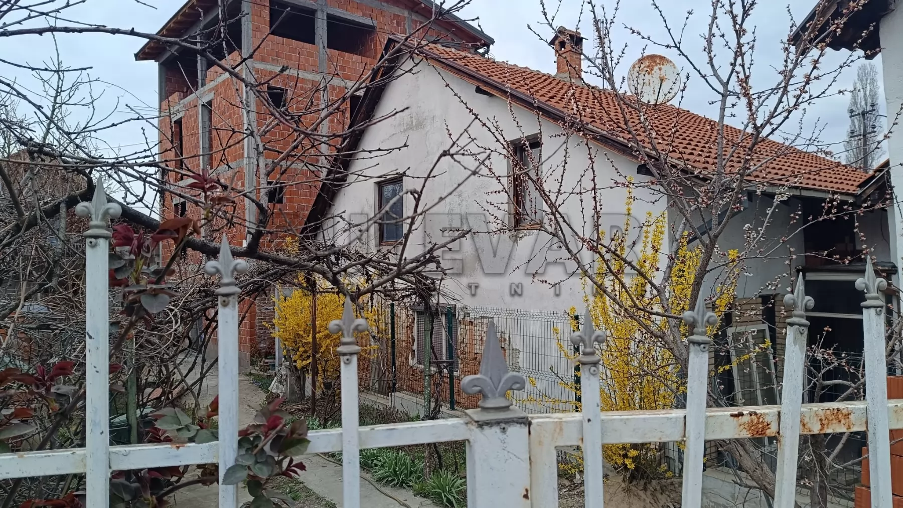 Lokal, 246 m2, Bulevar Nikole Pašića ID: p-016133 4