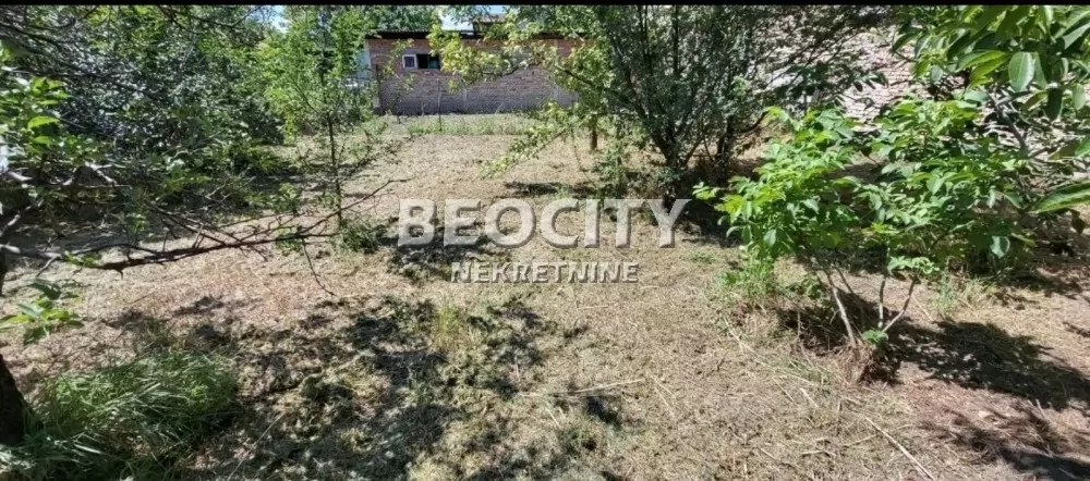 Plac, Kać ID: 131019 3