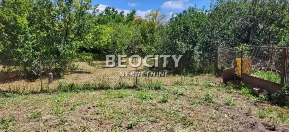 Plac, Kać ID: 131019 5