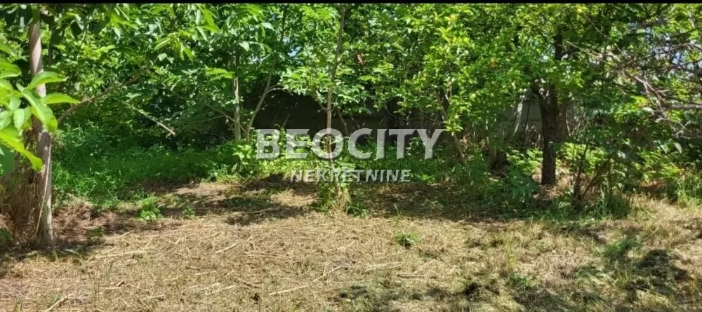 Plac, Kać ID: 131019 6