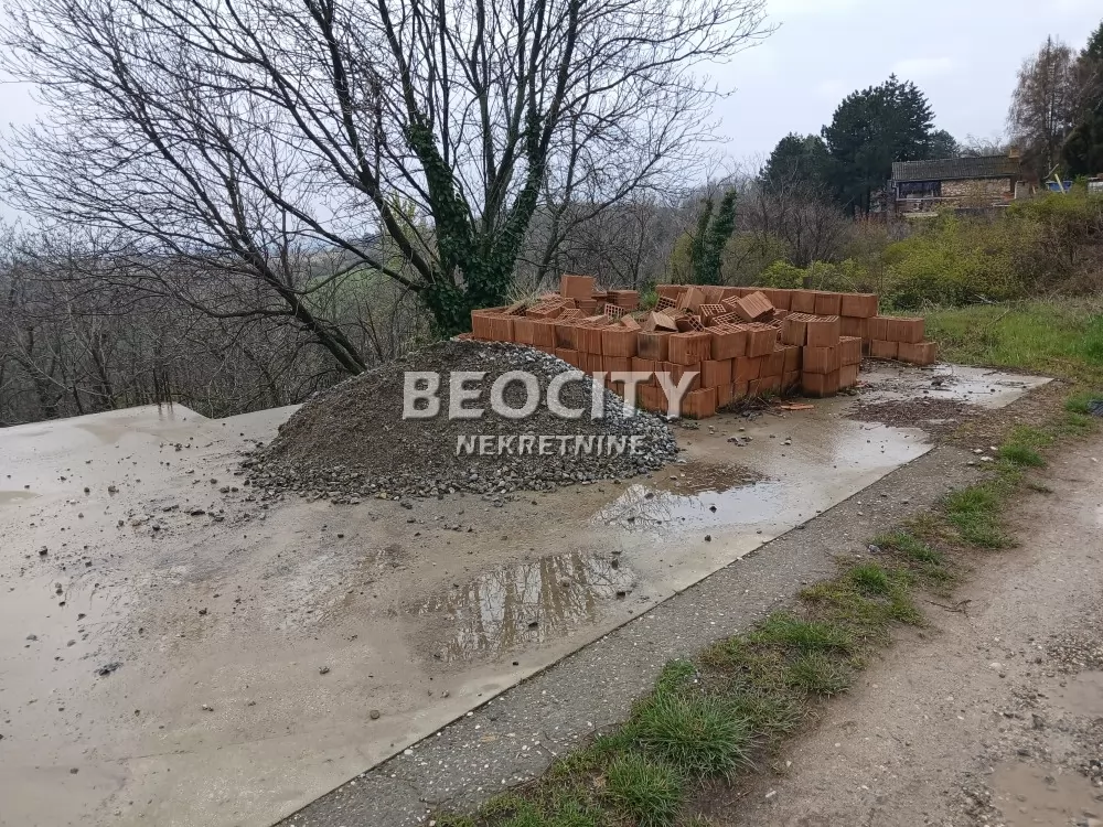 Plac, Remeta ID: 131081 11