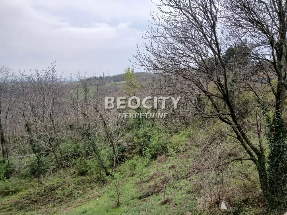 Plac, Remeta ID: 131081 12