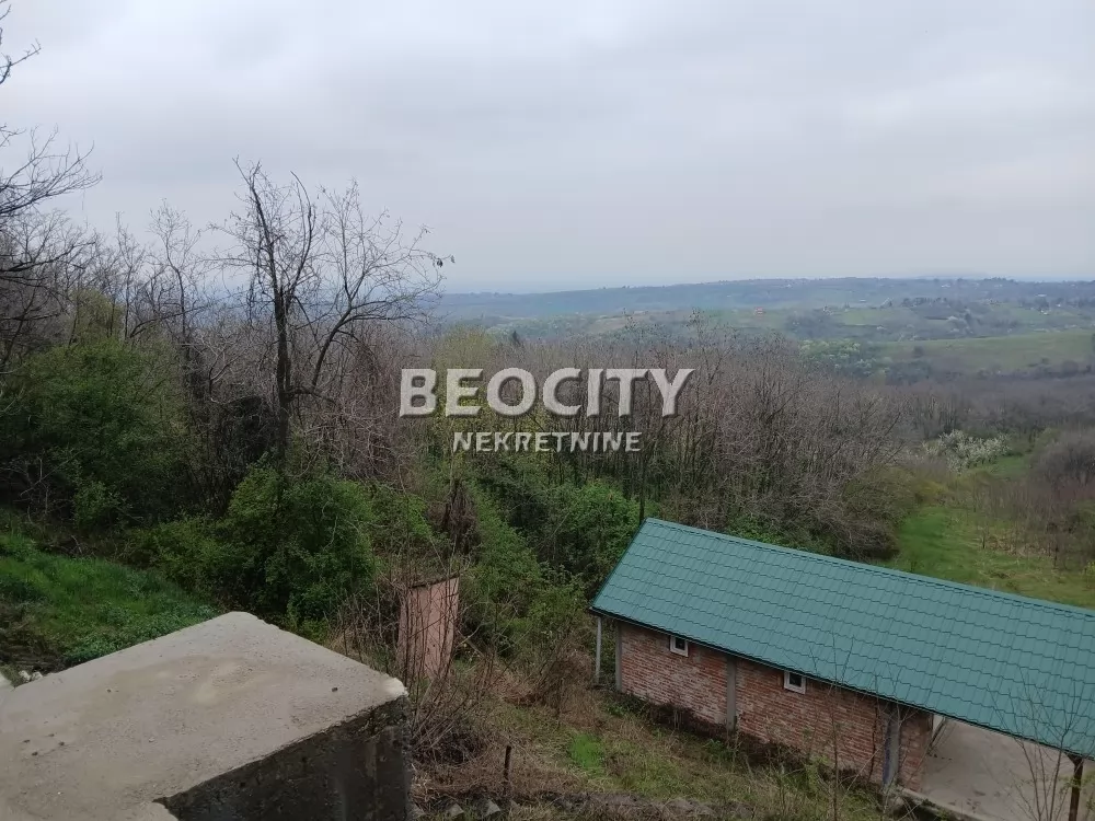 Plac, Remeta ID: 131081 6