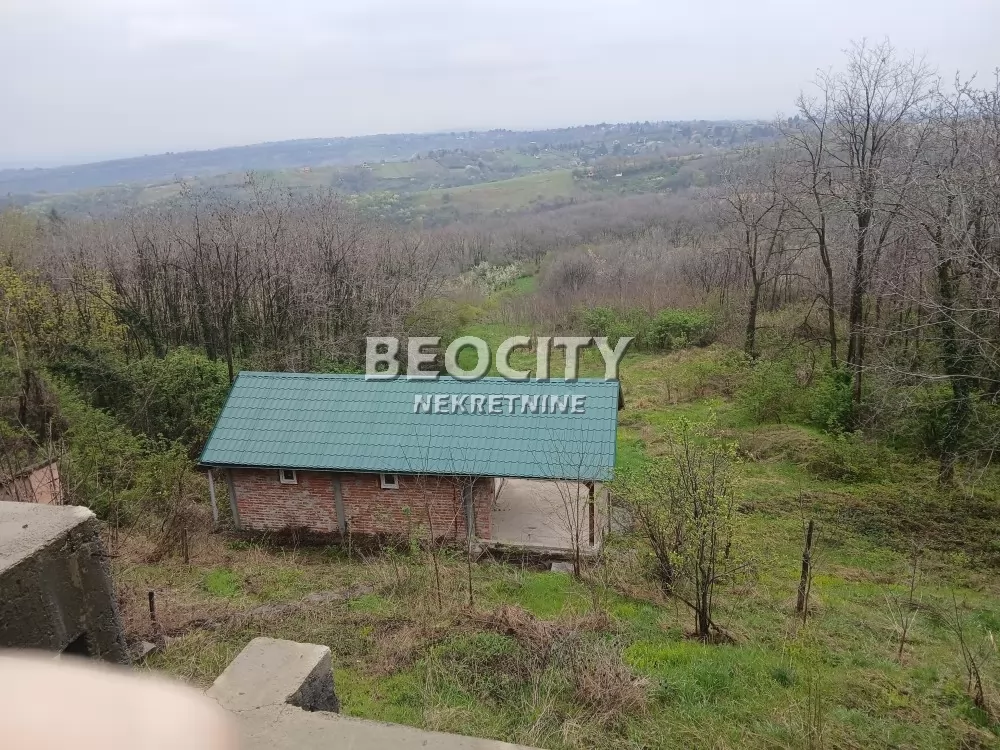 Plac, Remeta ID: 131081 8