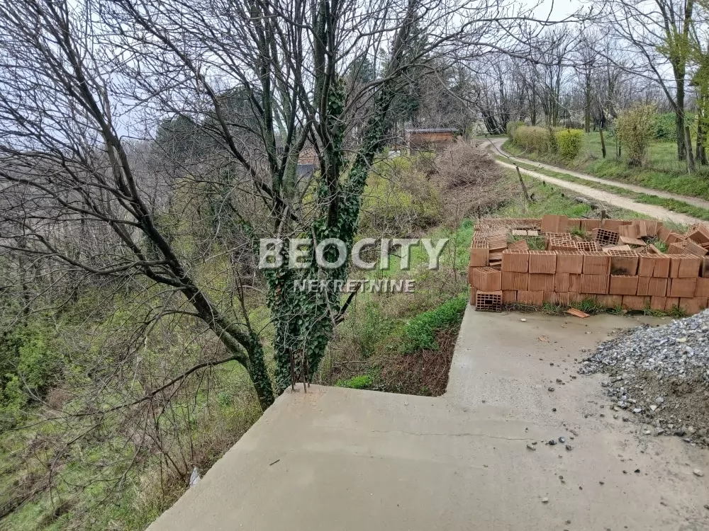 Plac, Remeta ID: 131081 9