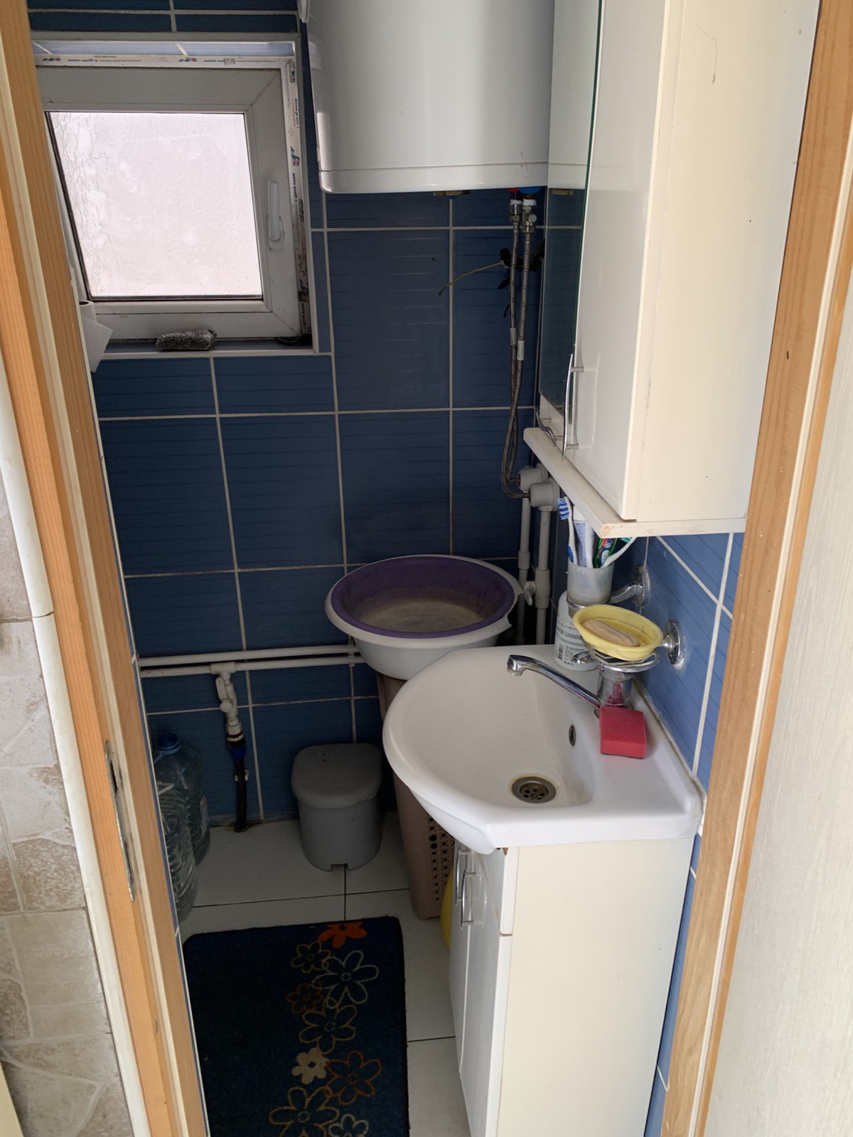 Prodajem domacinstvo u Velikim Crljenima 5