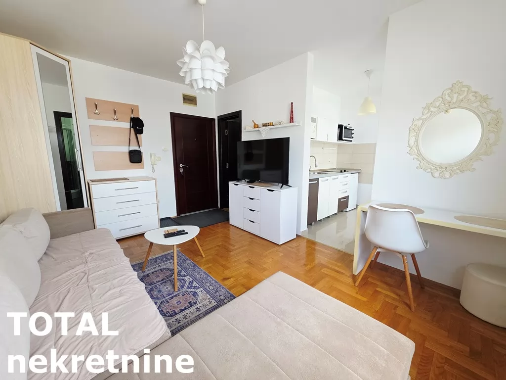 Stan,NOVI SAD,CENTAR,kv: 24.00, € 95000, ID: 1102510 2