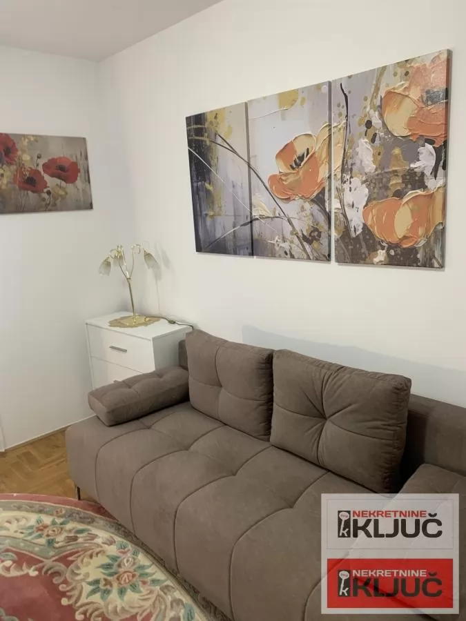 ADAMOVIĆEVO NASELJE, 25m2, Jednosoban, Namešten 5